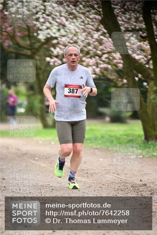 13.04.2025 - Hammer Lauf Dr. Thomas Lammeyer http://msf.ph/oto/7642258 13.04.2025 10:11:23 Laufen 15, 387 meine-sportfotos.de