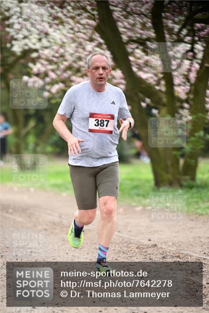 13.04.2025 - Hammer Lauf Dr. Thomas Lammeyer http://msf.ph/oto/7642278 13.04.2025 10:11:23 Laufen 15, 387 meine-sportfotos.de
