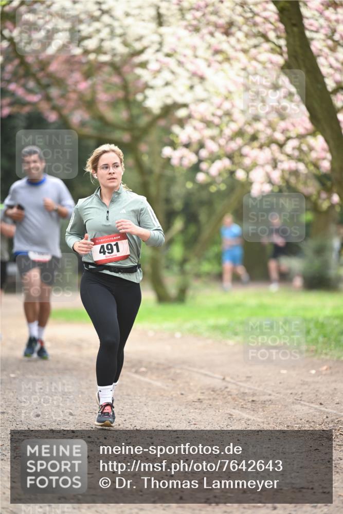 13.04.2025 - Hammer Lauf Dr. Thomas Lammeyer http://msf.ph/oto/7642643 13.04.2025 10:12:03 Laufen 15, 491 meine-sportfotos.de