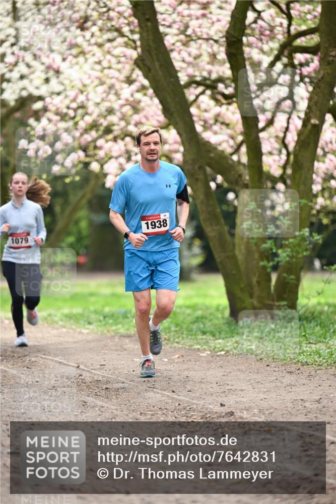 13.04.2025 - Hammer Lauf Dr. Thomas Lammeyer http://msf.ph/oto/7642831 13.04.2025 10:12:19 Laufen 1079, 15, 85, 1938 meine-sportfotos.de