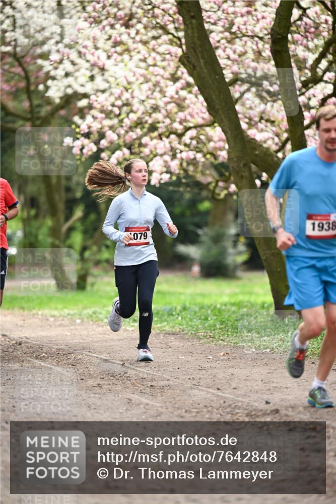 13.04.2025 - Hammer Lauf Dr. Thomas Lammeyer http://msf.ph/oto/7642848 13.04.2025 10:12:20 Laufen 15, 079, 1938 meine-sportfotos.de