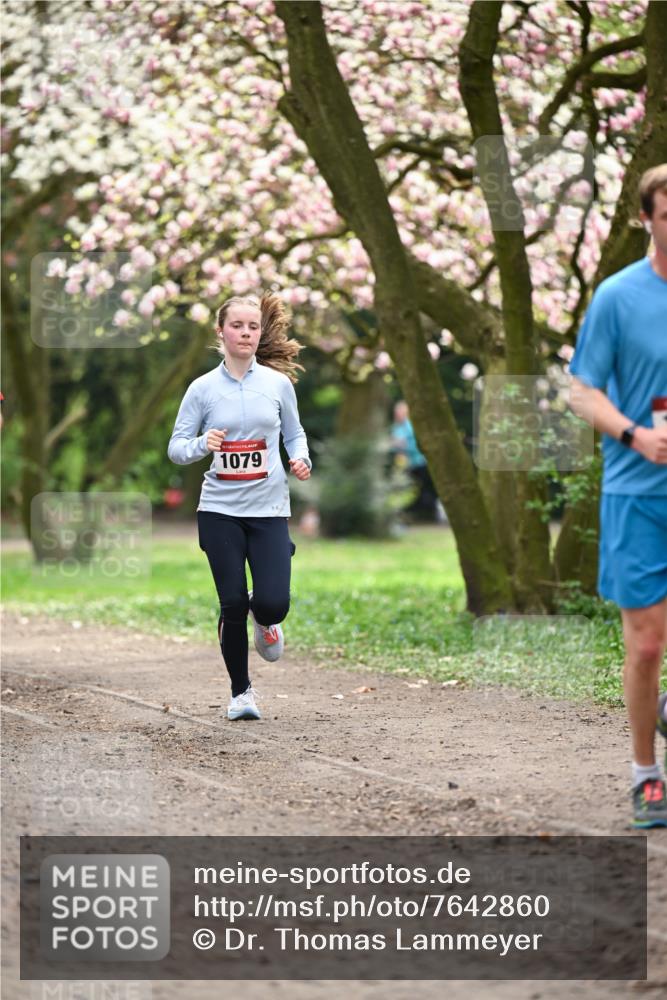 13.04.2025 - Hammer Lauf Dr. Thomas Lammeyer http://msf.ph/oto/7642860 13.04.2025 10:12:20 Laufen 1079 meine-sportfotos.de