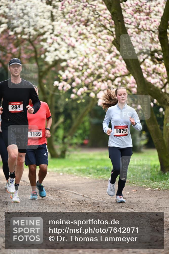 13.04.2025 - Hammer Lauf Dr. Thomas Lammeyer http://msf.ph/oto/7642871 13.04.2025 10:12:20 Laufen 15, 284, 20, 15, 1189, 15, 1079 meine-sportfotos.de