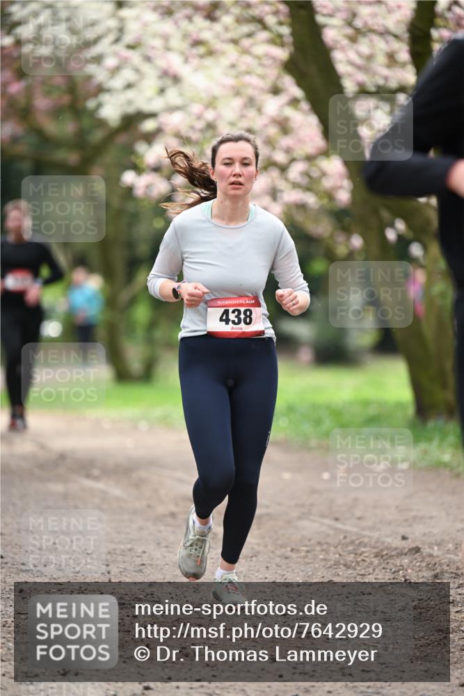 13.04.2025 - Hammer Lauf Dr. Thomas Lammeyer http://msf.ph/oto/7642929 13.04.2025 10:12:24 Laufen 15, 438 meine-sportfotos.de