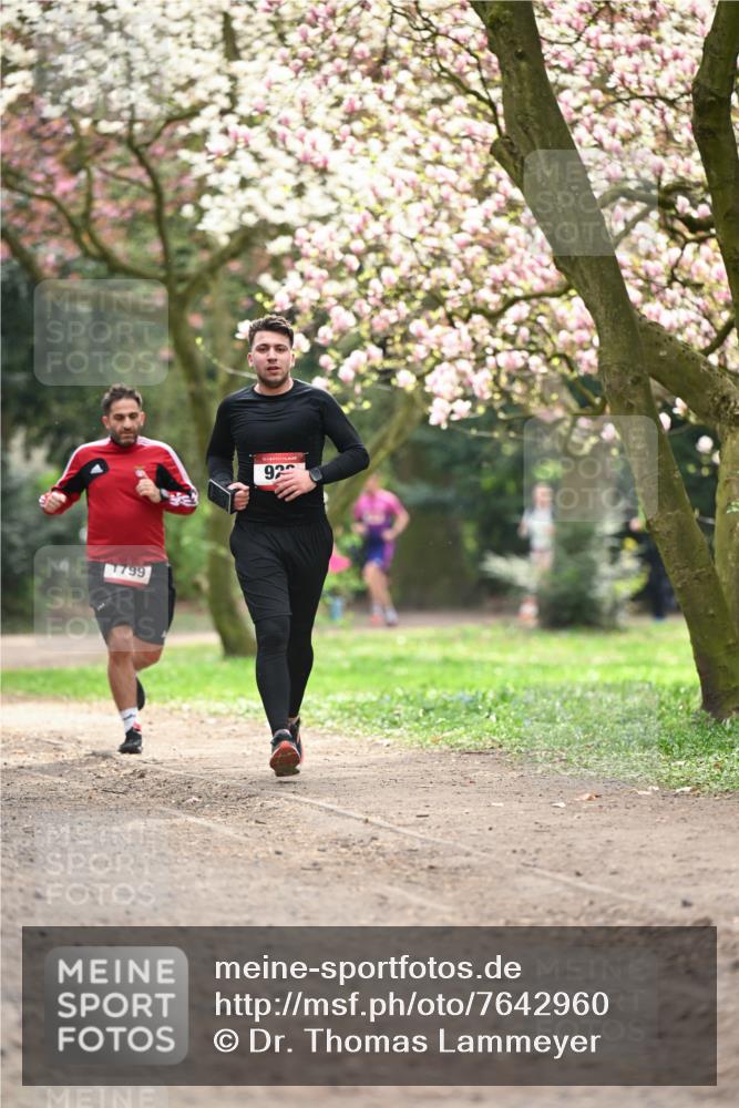 13.04.2025 - Hammer Lauf Dr. Thomas Lammeyer http://msf.ph/oto/7642960 13.04.2025 10:12:26 Laufen 1799, 92 meine-sportfotos.de