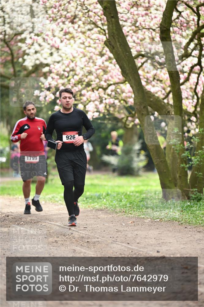 13.04.2025 - Hammer Lauf Dr. Thomas Lammeyer http://msf.ph/oto/7642979 13.04.2025 10:12:27 Laufen 1799, 926 meine-sportfotos.de