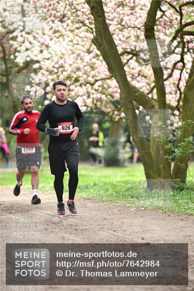 13.04.2025 - Hammer Lauf Dr. Thomas Lammeyer http://msf.ph/oto/7642984 13.04.2025 10:12:27 Laufen 1799, 926 meine-sportfotos.de