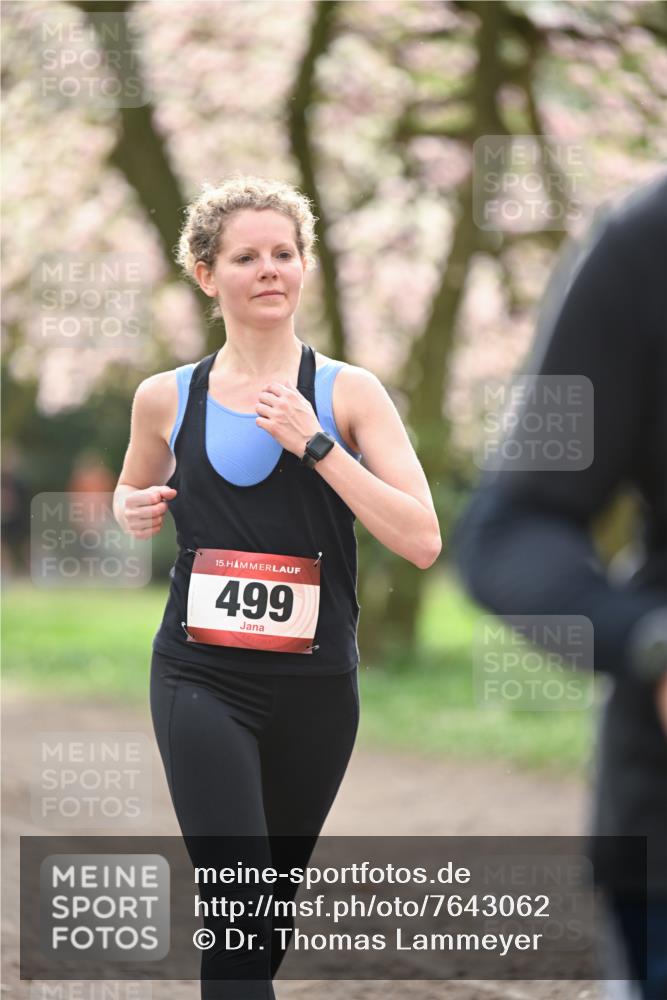 13.04.2025 - Hammer Lauf Dr. Thomas Lammeyer http://msf.ph/oto/7643062 13.04.2025 10:12:32 Laufen 15, 499 meine-sportfotos.de