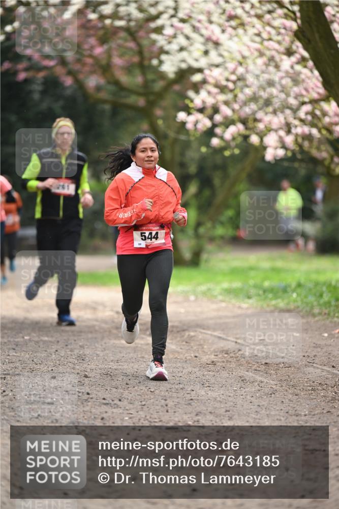 13.04.2025 - Hammer Lauf Dr. Thomas Lammeyer http://msf.ph/oto/7643185 13.04.2025 10:12:42 Laufen 15, 544 meine-sportfotos.de