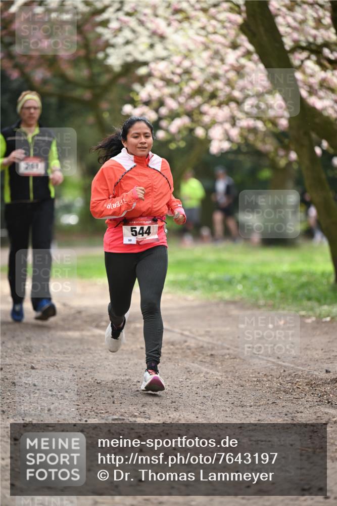 13.04.2025 - Hammer Lauf Dr. Thomas Lammeyer http://msf.ph/oto/7643197 13.04.2025 10:12:42 Laufen 201, 98, 15, 544 meine-sportfotos.de
