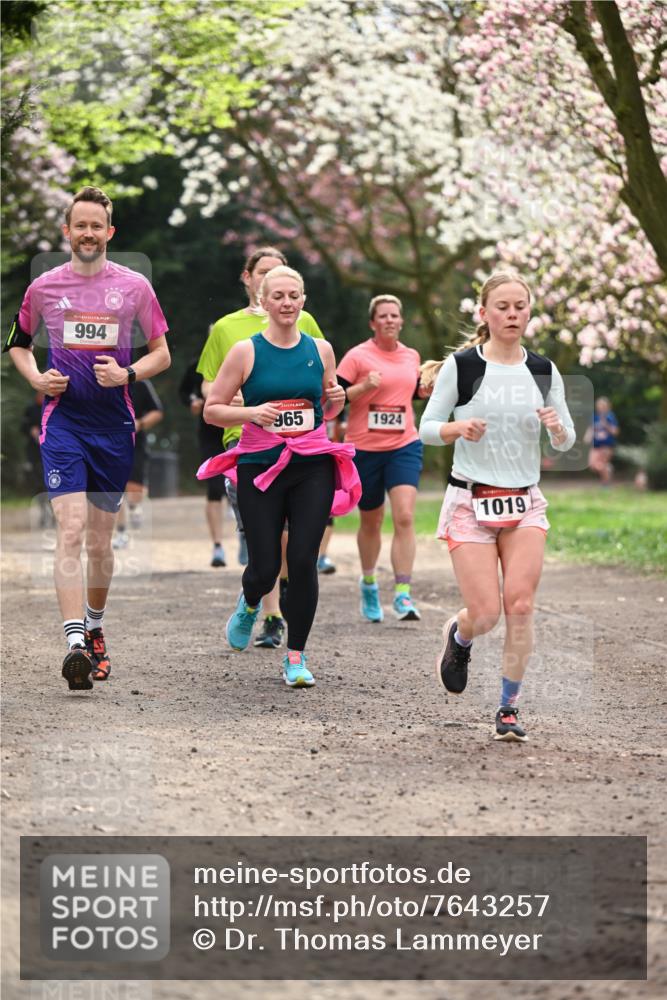 13.04.2025 - Hammer Lauf Dr. Thomas Lammeyer http://msf.ph/oto/7643257 13.04.2025 10:12:46 Laufen 994, 965, 1924, 60, 1019 meine-sportfotos.de