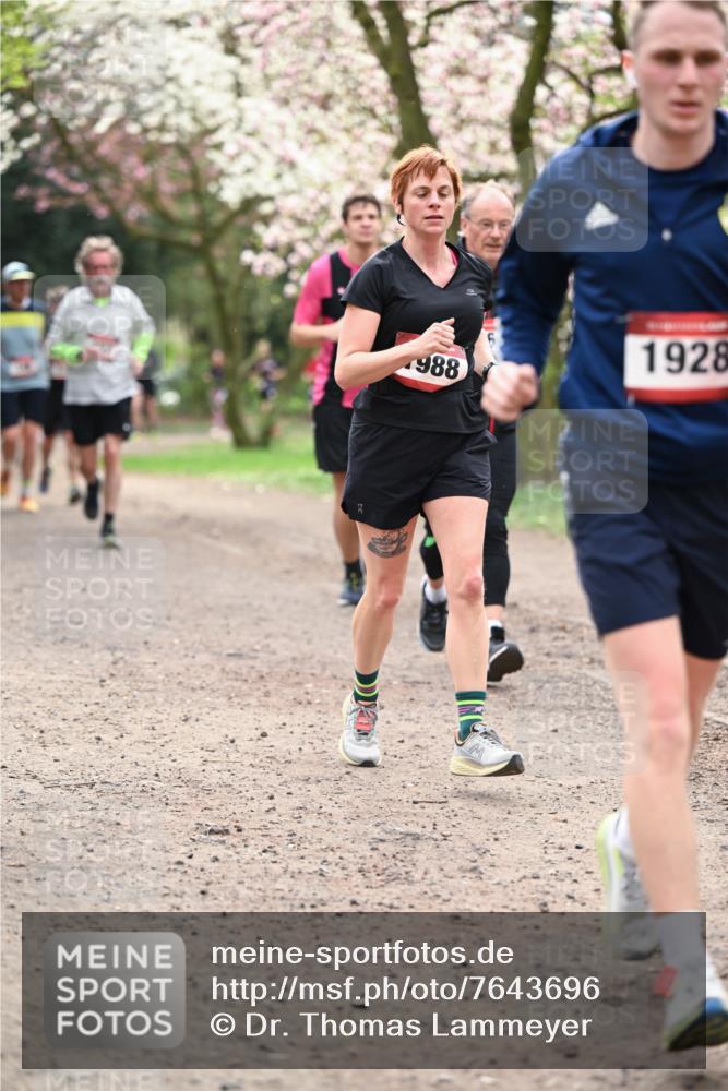 13.04.2025 - Hammer Lauf Dr. Thomas Lammeyer http://msf.ph/oto/7643696 13.04.2025 10:13:15 Laufen 1928, 988 meine-sportfotos.de