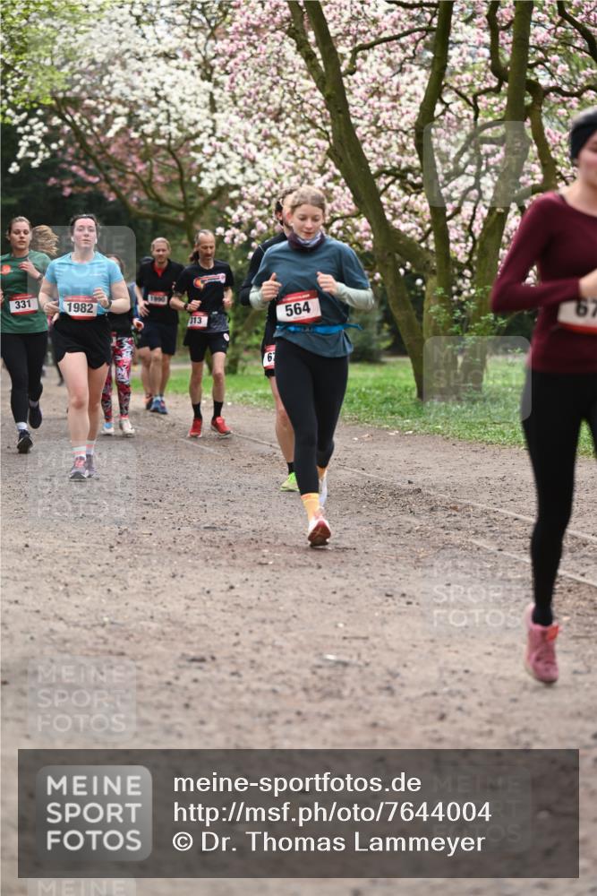 13.04.2025 - Hammer Lauf Dr. Thomas Lammeyer http://msf.ph/oto/7644004 13.04.2025 10:13:30 Laufen 331, 1990, 1982, 313, 62, 564, 67 meine-sportfotos.de