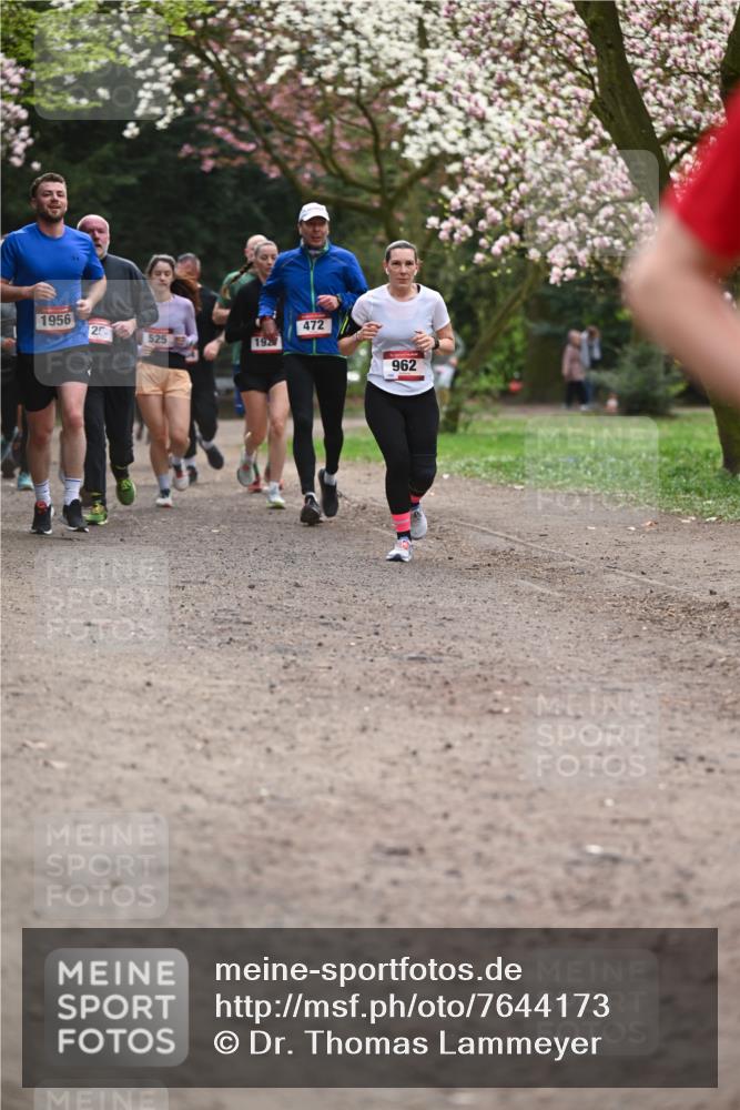 13.04.2025 - Hammer Lauf Dr. Thomas Lammeyer http://msf.ph/oto/7644173 13.04.2025 10:13:37 Laufen 1956, 25, 525, 1927, 472, 962 meine-sportfotos.de