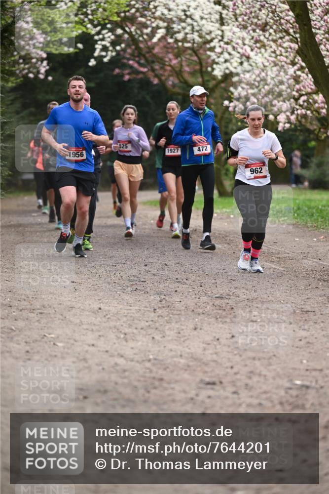 13.04.2025 - Hammer Lauf Dr. Thomas Lammeyer http://msf.ph/oto/7644201 13.04.2025 10:13:39 Laufen 525, 1956, 1927, 472, 962 meine-sportfotos.de