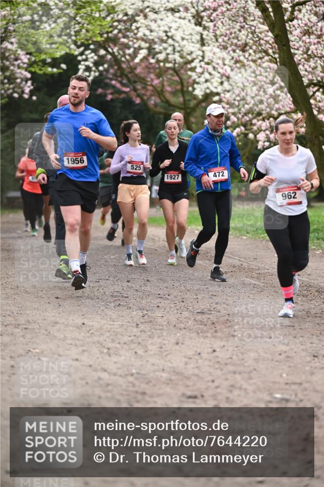13.04.2025 - Hammer Lauf Dr. Thomas Lammeyer http://msf.ph/oto/7644220 13.04.2025 10:13:39 Laufen 1956, 525, 1927, 472, 962 meine-sportfotos.de