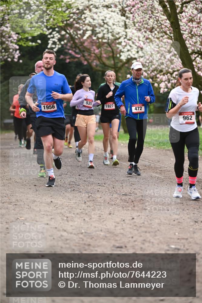 13.04.2025 - Hammer Lauf Dr. Thomas Lammeyer http://msf.ph/oto/7644223 13.04.2025 10:13:40 Laufen 525, 1956, 1927, 472, 962 meine-sportfotos.de