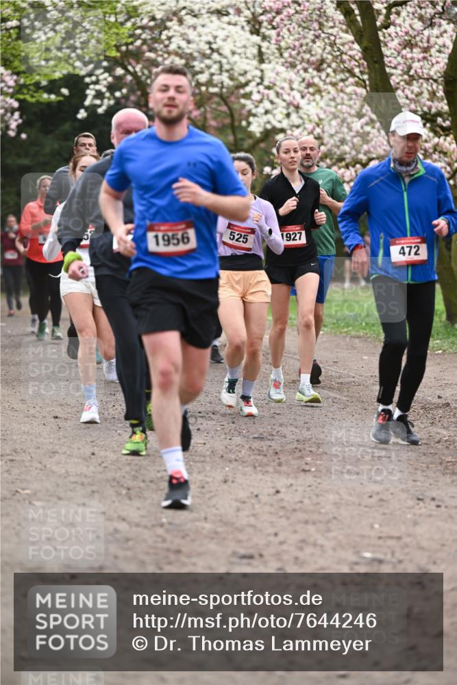 13.04.2025 - Hammer Lauf Dr. Thomas Lammeyer http://msf.ph/oto/7644246 13.04.2025 10:13:41 Laufen 1956, 525, 1927, 472 meine-sportfotos.de