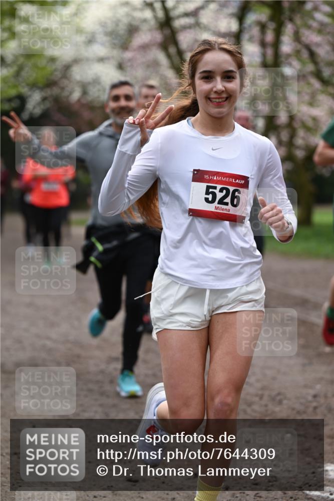 13.04.2025 - Hammer Lauf Dr. Thomas Lammeyer http://msf.ph/oto/7644309 13.04.2025 10:13:44 Laufen 15, 526 meine-sportfotos.de