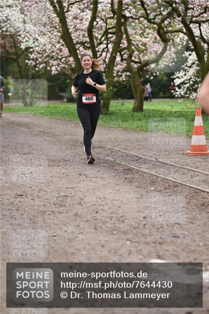 13.04.2025 - Hammer Lauf Dr. Thomas Lammeyer http://msf.ph/oto/7644430 13.04.2025 10:13:50 Laufen 460 meine-sportfotos.de