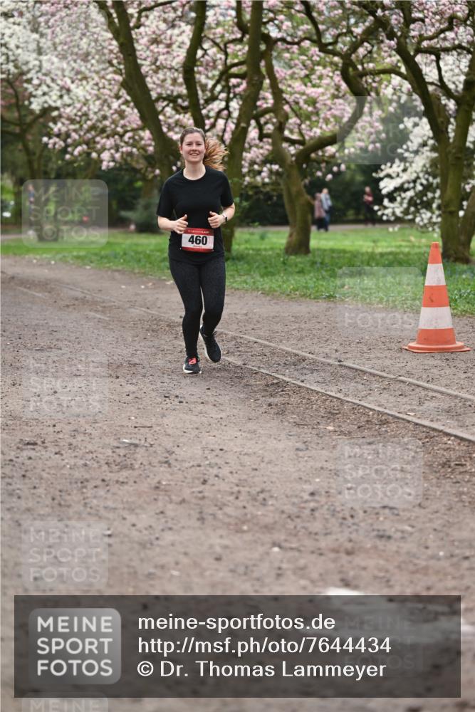 13.04.2025 - Hammer Lauf Dr. Thomas Lammeyer http://msf.ph/oto/7644434 13.04.2025 10:13:50 Laufen 460 meine-sportfotos.de