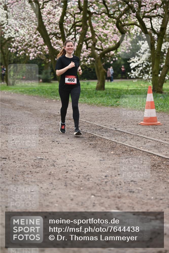 13.04.2025 - Hammer Lauf Dr. Thomas Lammeyer http://msf.ph/oto/7644438 13.04.2025 10:13:50 Laufen 460 meine-sportfotos.de