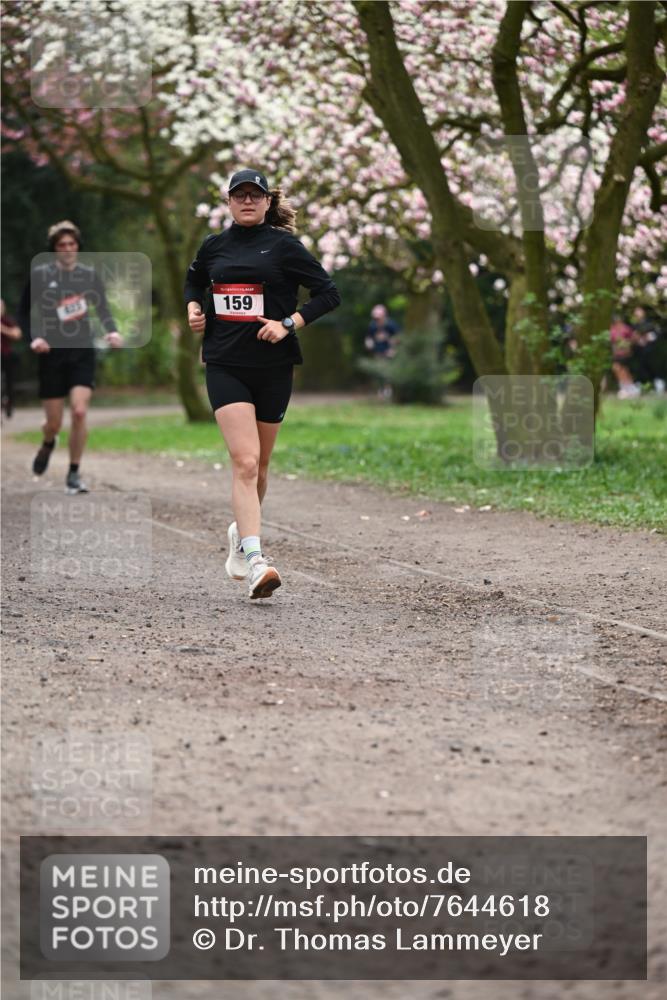 13.04.2025 - Hammer Lauf Dr. Thomas Lammeyer http://msf.ph/oto/7644618 13.04.2025 10:14:01 Laufen 15, 159 meine-sportfotos.de
