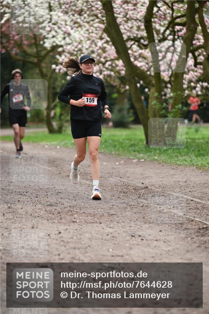 13.04.2025 - Hammer Lauf Dr. Thomas Lammeyer http://msf.ph/oto/7644628 13.04.2025 10:14:01 Laufen 835, 15, 159 meine-sportfotos.de