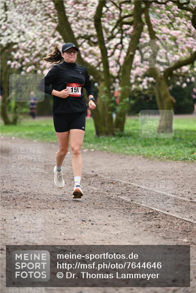 13.04.2025 - Hammer Lauf Dr. Thomas Lammeyer http://msf.ph/oto/7644646 13.04.2025 10:14:02 Laufen 15, 159 meine-sportfotos.de