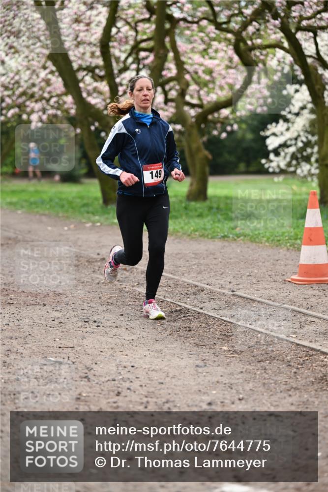 13.04.2025 - Hammer Lauf Dr. Thomas Lammeyer http://msf.ph/oto/7644775 13.04.2025 10:14:09 Laufen 149 meine-sportfotos.de