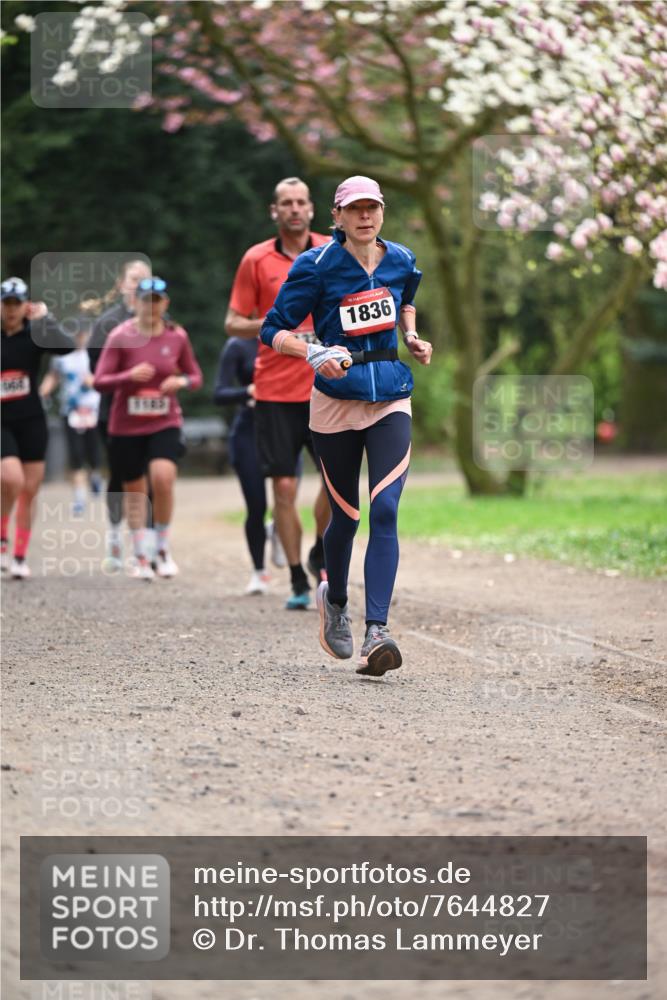 13.04.2025 - Hammer Lauf Dr. Thomas Lammeyer http://msf.ph/oto/7644827 13.04.2025 10:14:19 Laufen 8145, 15, 1836 meine-sportfotos.de