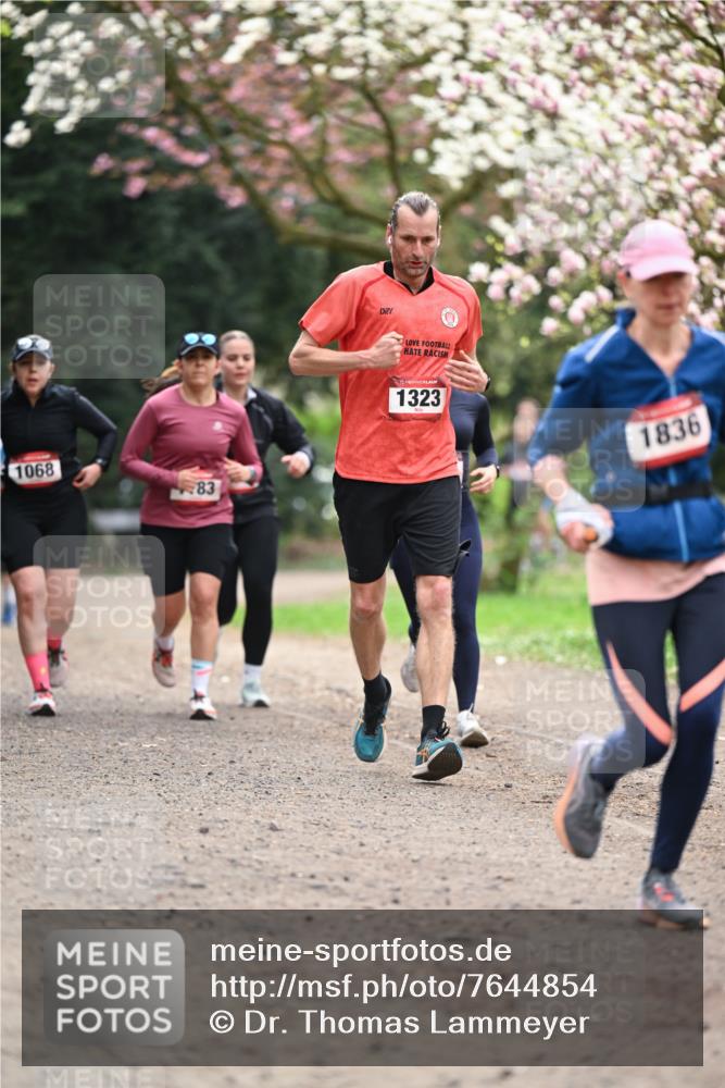 13.04.2025 - Hammer Lauf Dr. Thomas Lammeyer http://msf.ph/oto/7644854 13.04.2025 10:14:20 Laufen 1068, 83, 15, 1323, 1836 meine-sportfotos.de