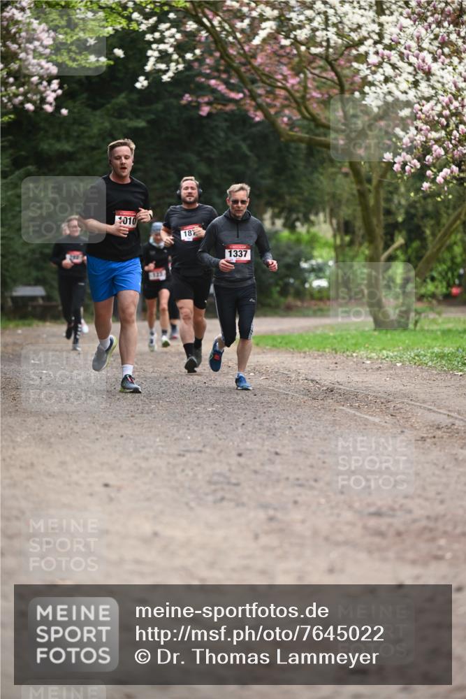 13.04.2025 - Hammer Lauf Dr. Thomas Lammeyer http://msf.ph/oto/7645022 13.04.2025 10:14:34 Laufen 010, 18, 1337, 123 meine-sportfotos.de