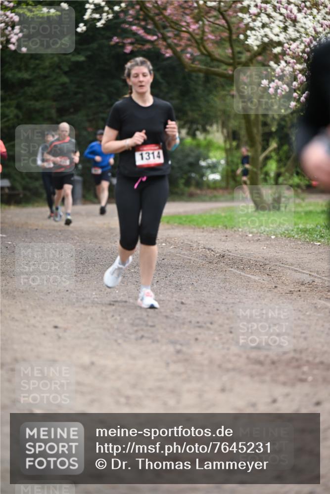 13.04.2025 - Hammer Lauf Dr. Thomas Lammeyer http://msf.ph/oto/7645231 13.04.2025 10:14:46 Laufen 1314 meine-sportfotos.de