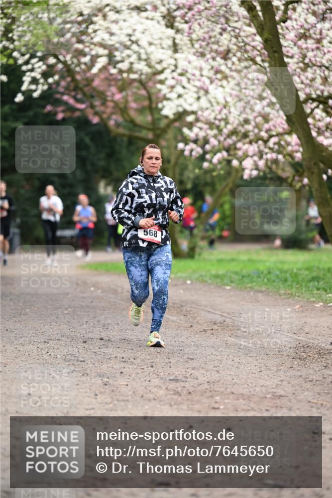 13.04.2025 - Hammer Lauf Dr. Thomas Lammeyer http://msf.ph/oto/7645650 13.04.2025 10:15:24 Laufen 568 meine-sportfotos.de
