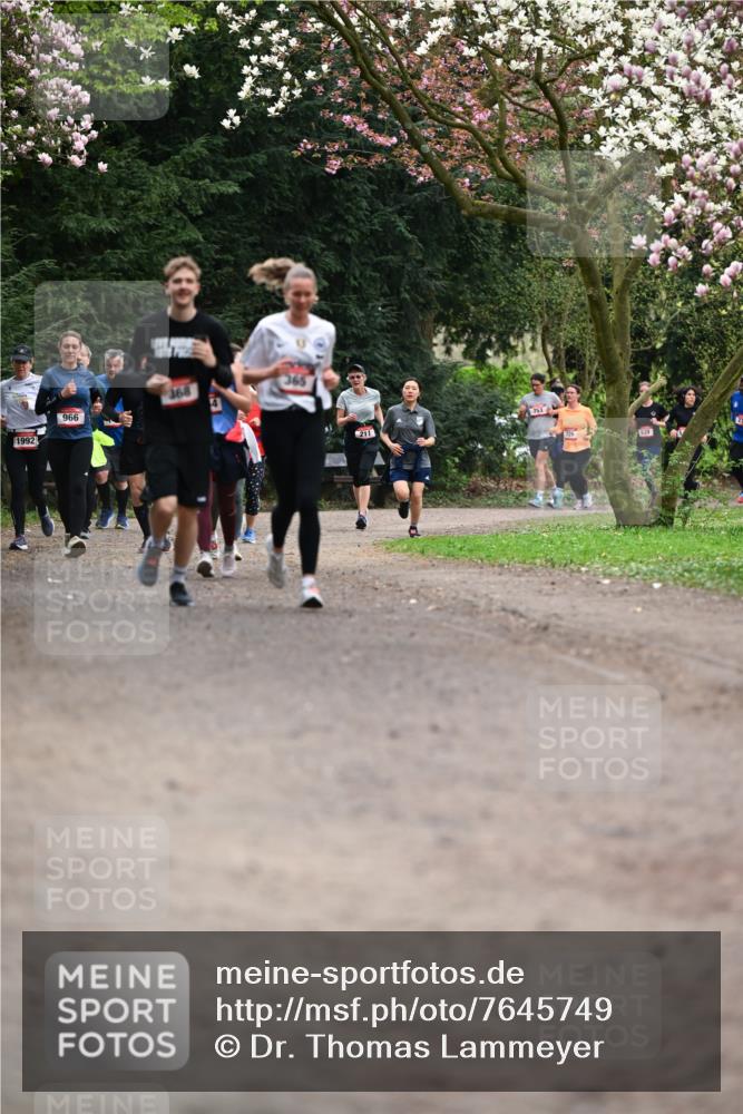 13.04.2025 - Hammer Lauf Dr. Thomas Lammeyer http://msf.ph/oto/7645749 13.04.2025 10:15:31 Laufen 1992, 966, 168, 365, 211 meine-sportfotos.de