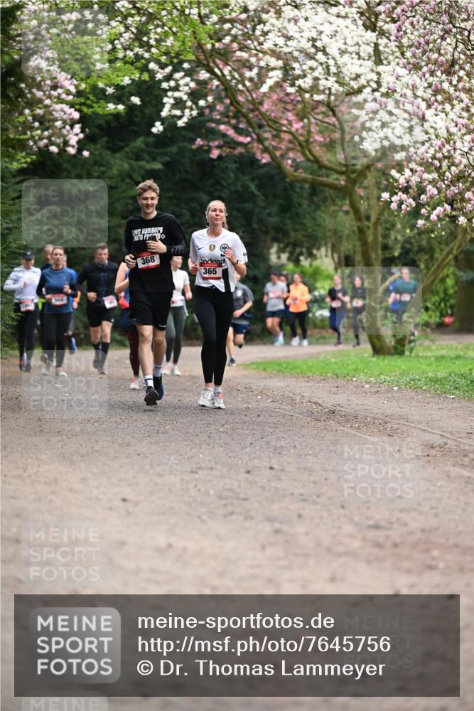 13.04.2025 - Hammer Lauf Dr. Thomas Lammeyer http://msf.ph/oto/7645756 13.04.2025 10:15:32 Laufen 368, 365 meine-sportfotos.de