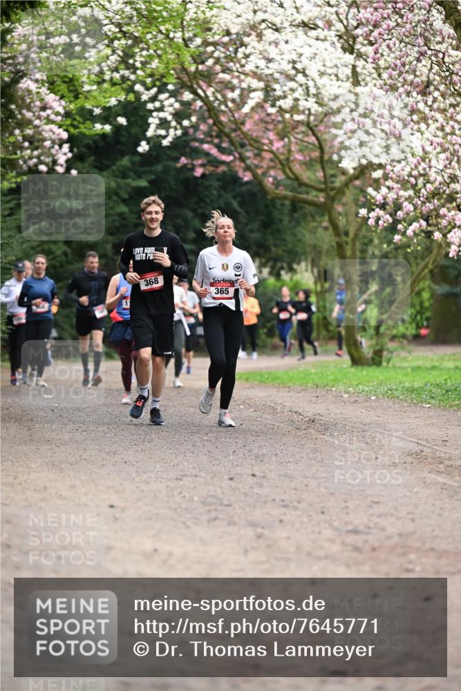 13.04.2025 - Hammer Lauf Dr. Thomas Lammeyer http://msf.ph/oto/7645771 13.04.2025 10:15:33 Laufen 368, 365 meine-sportfotos.de