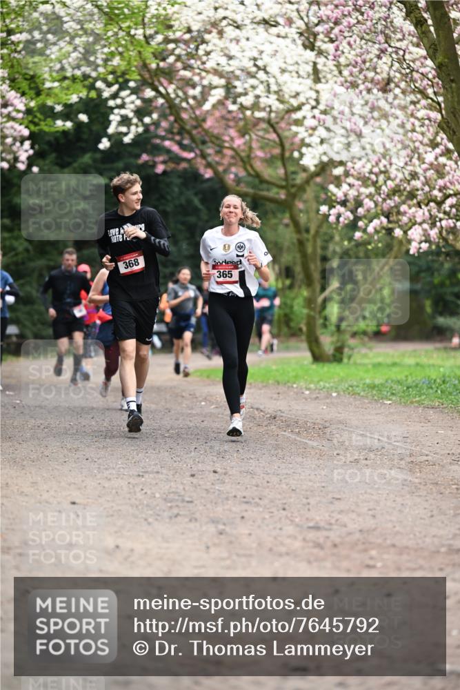 13.04.2025 - Hammer Lauf Dr. Thomas Lammeyer http://msf.ph/oto/7645792 13.04.2025 10:15:34 Laufen 368, 365 meine-sportfotos.de