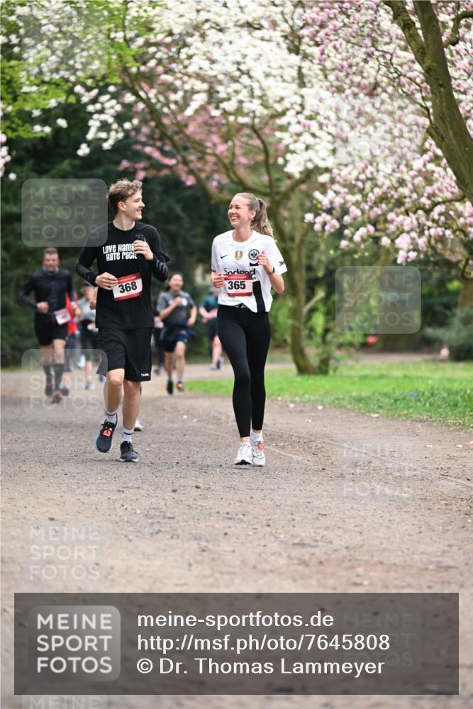13.04.2025 - Hammer Lauf Dr. Thomas Lammeyer http://msf.ph/oto/7645808 13.04.2025 10:15:35 Laufen 368, 365 meine-sportfotos.de
