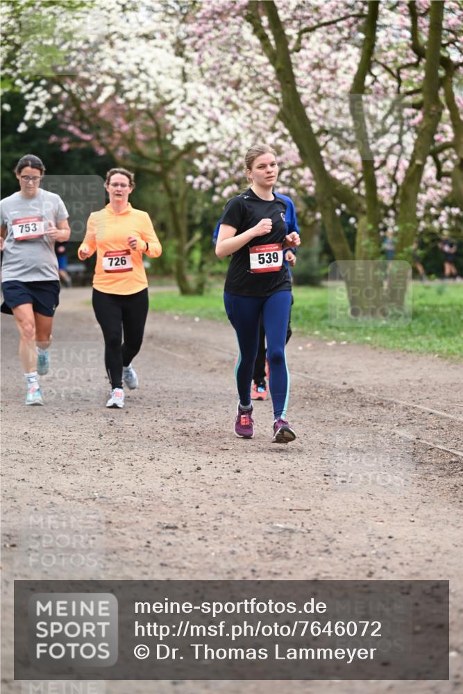 13.04.2025 - Hammer Lauf Dr. Thomas Lammeyer http://msf.ph/oto/7646072 13.04.2025 10:15:52 Laufen 753, 726, 15, 539 meine-sportfotos.de