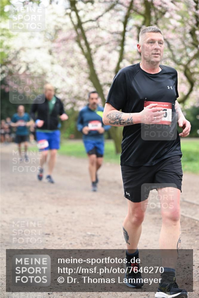 13.04.2025 - Hammer Lauf Dr. Thomas Lammeyer http://msf.ph/oto/7646270 13.04.2025 10:16:09 Laufen 8 meine-sportfotos.de