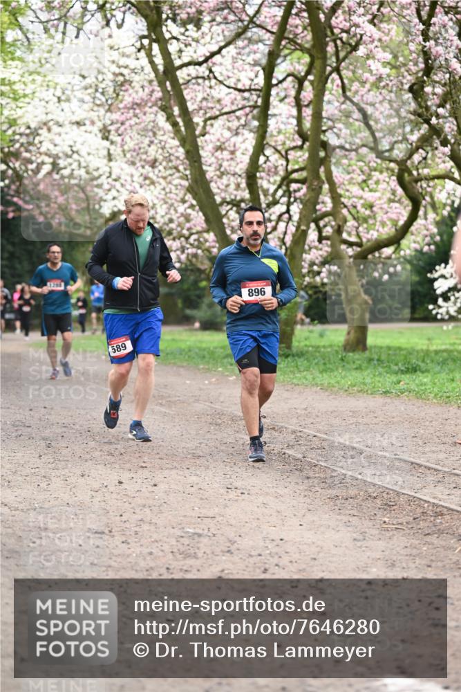 13.04.2025 - Hammer Lauf Dr. Thomas Lammeyer http://msf.ph/oto/7646280 13.04.2025 10:16:10 Laufen 589, 896 meine-sportfotos.de