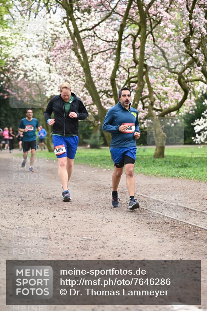 13.04.2025 - Hammer Lauf Dr. Thomas Lammeyer http://msf.ph/oto/7646286 13.04.2025 10:16:10 Laufen 589, 96 meine-sportfotos.de