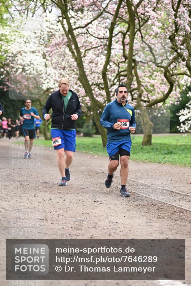 13.04.2025 - Hammer Lauf Dr. Thomas Lammeyer http://msf.ph/oto/7646289 13.04.2025 10:16:10 Laufen 1206, 589, 396 meine-sportfotos.de