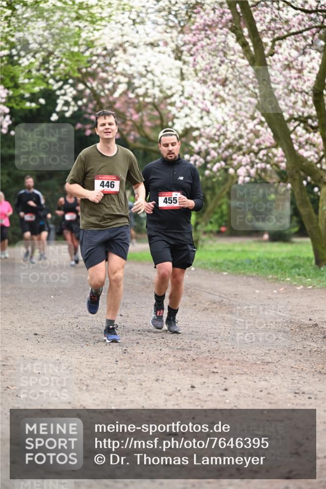 13.04.2025 - Hammer Lauf Dr. Thomas Lammeyer http://msf.ph/oto/7646395 13.04.2025 10:16:17 Laufen 15, 446, 455 meine-sportfotos.de