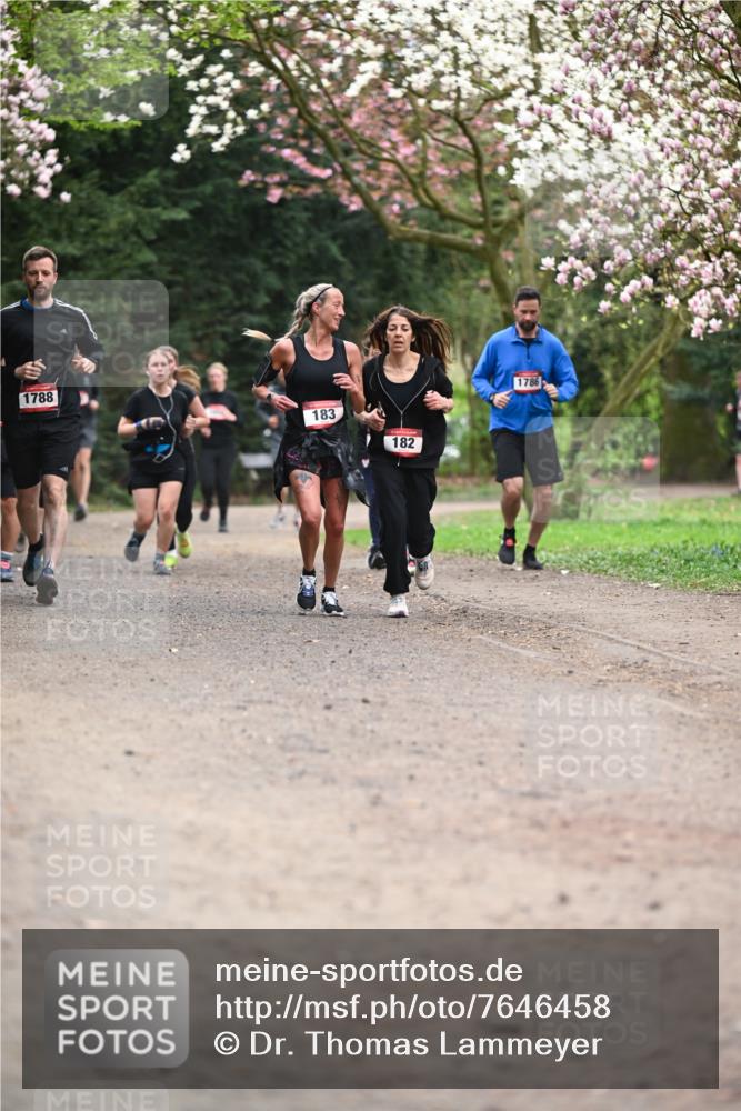 13.04.2025 - Hammer Lauf Dr. Thomas Lammeyer http://msf.ph/oto/7646458 13.04.2025 10:16:21 Laufen 1788, 183, 182, 1786 meine-sportfotos.de