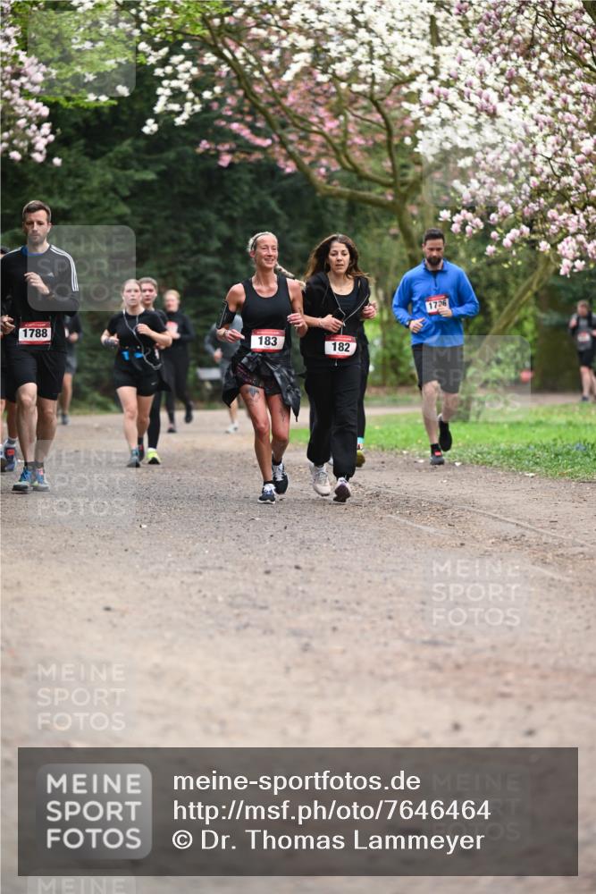 13.04.2025 - Hammer Lauf Dr. Thomas Lammeyer http://msf.ph/oto/7646464 13.04.2025 10:16:21 Laufen 1788, 183, 182, 1726 meine-sportfotos.de