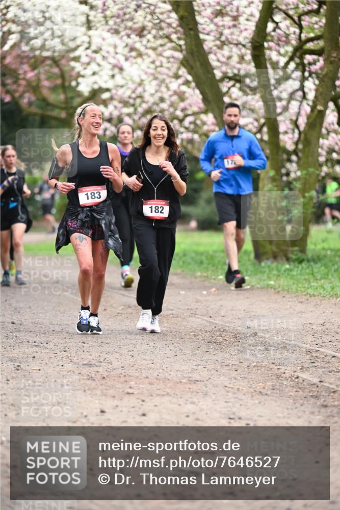 13.04.2025 - Hammer Lauf Dr. Thomas Lammeyer http://msf.ph/oto/7646527 13.04.2025 10:16:24 Laufen 183, 182, 17 meine-sportfotos.de
