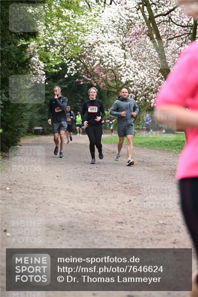 13.04.2025 - Hammer Lauf Dr. Thomas Lammeyer http://msf.ph/oto/7646624 13.04.2025 10:16:33 Laufen 895, 1053 meine-sportfotos.de
